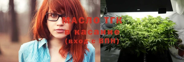 индика Арсеньев