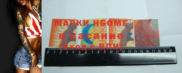 индика Арсеньев