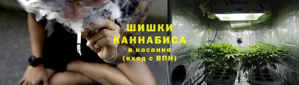 индика Арсеньев