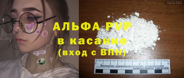 индика Арсеньев